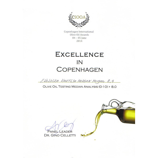 CIOOA-Copenhagen-Excellence.png