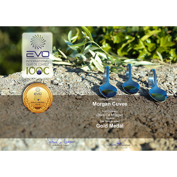 EVO-IOOC-Palmi-Gold-Award.png